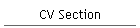CV Section